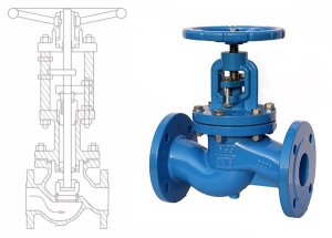 Globe valve